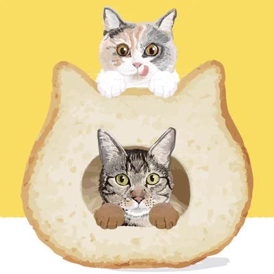 出遅れてしまいましたが…今日だけ特別仕様のアイコンです#新しいプロフィール画像#猫の日  