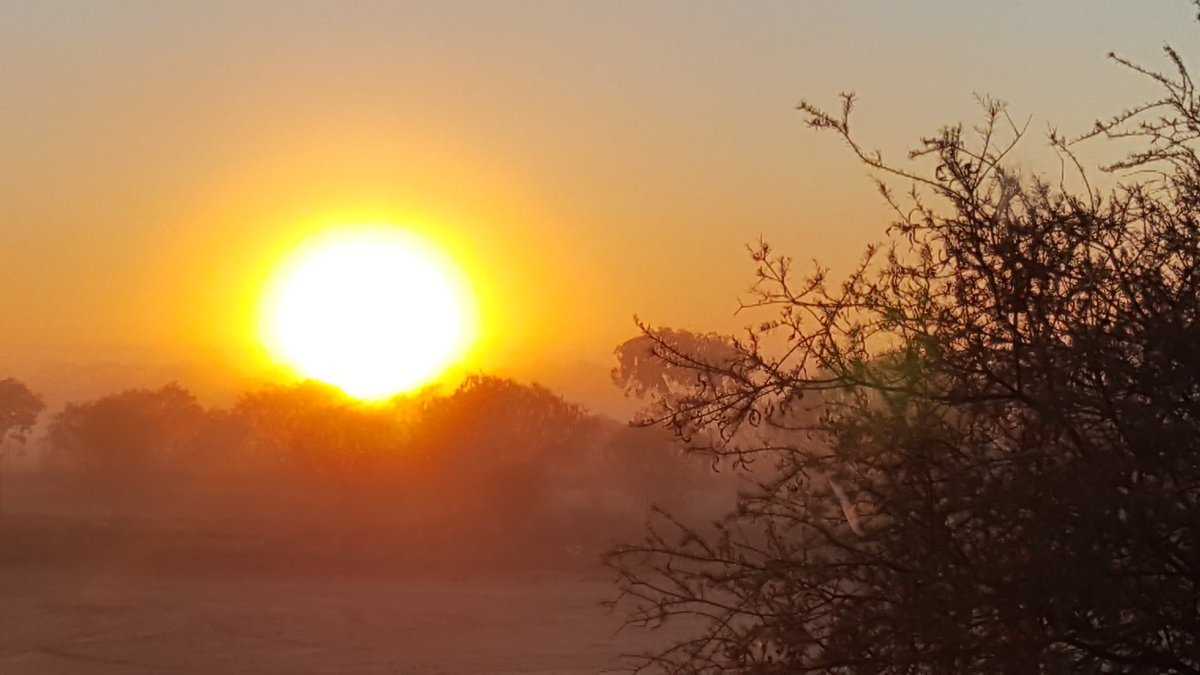 Hi, this month I took a position with  <a href="/NACC_NRM/">NACC</a> in #climatesmart and #sustainableagriculture in the Northern Agricultural Region (NAR). I am very chuffed and look forward to engaging with you all at <a href="/NACCagriculture/">NACC NRM Sustainable Agriculture</a>