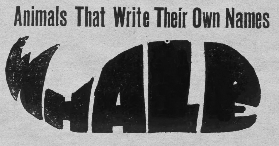 yesterdaysprint's tweet photo. Lewiston Evening Journal, Maine, March 7, 1917 https://t.co/uzev70Hed5