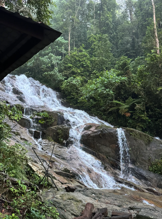 ひかり tweet media