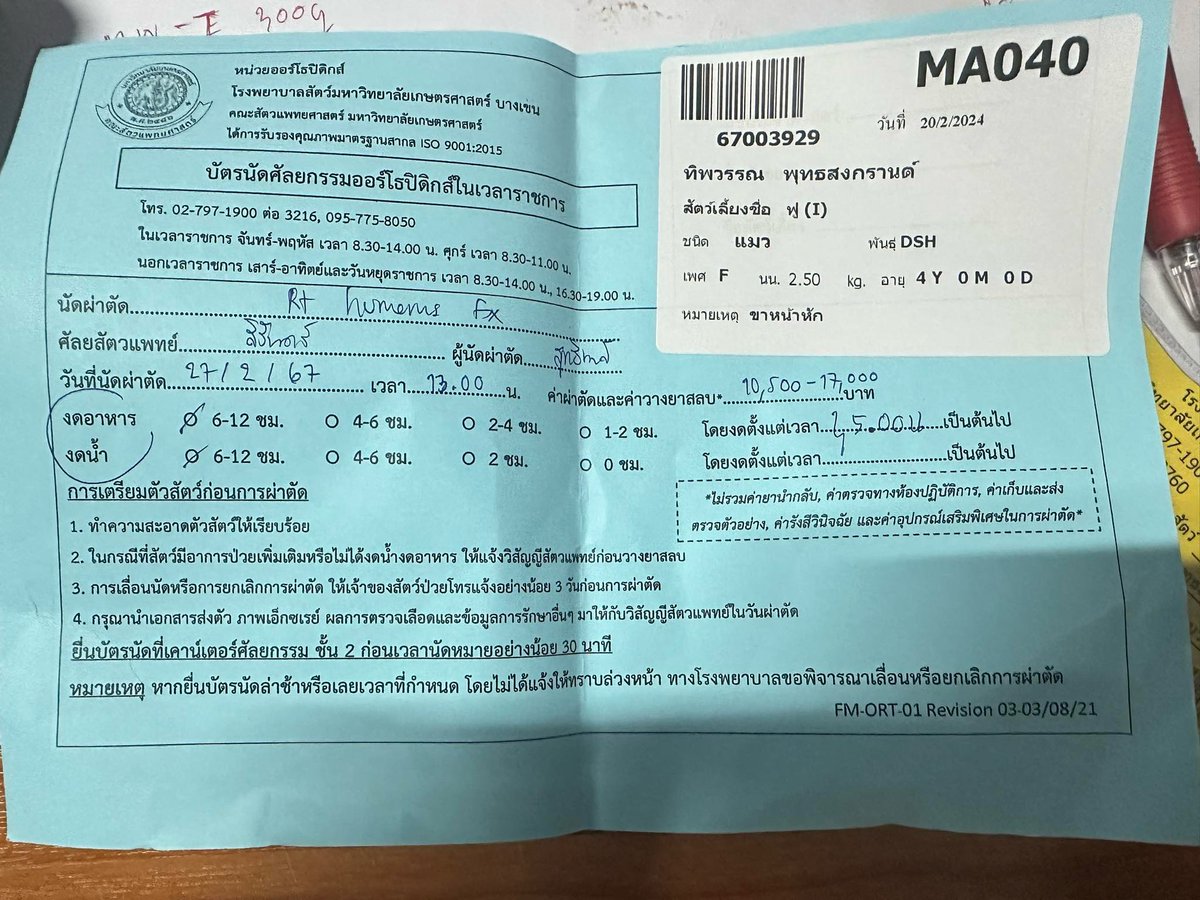 🩸ขอรับบริจาคเลือดน้องแมวด่วนค่ะ🩸

พิกัด: โรงพยาบาลสัตว์เกษตร บางเขน
ติดต่อ : คุณทิพวรรณ 0631214333