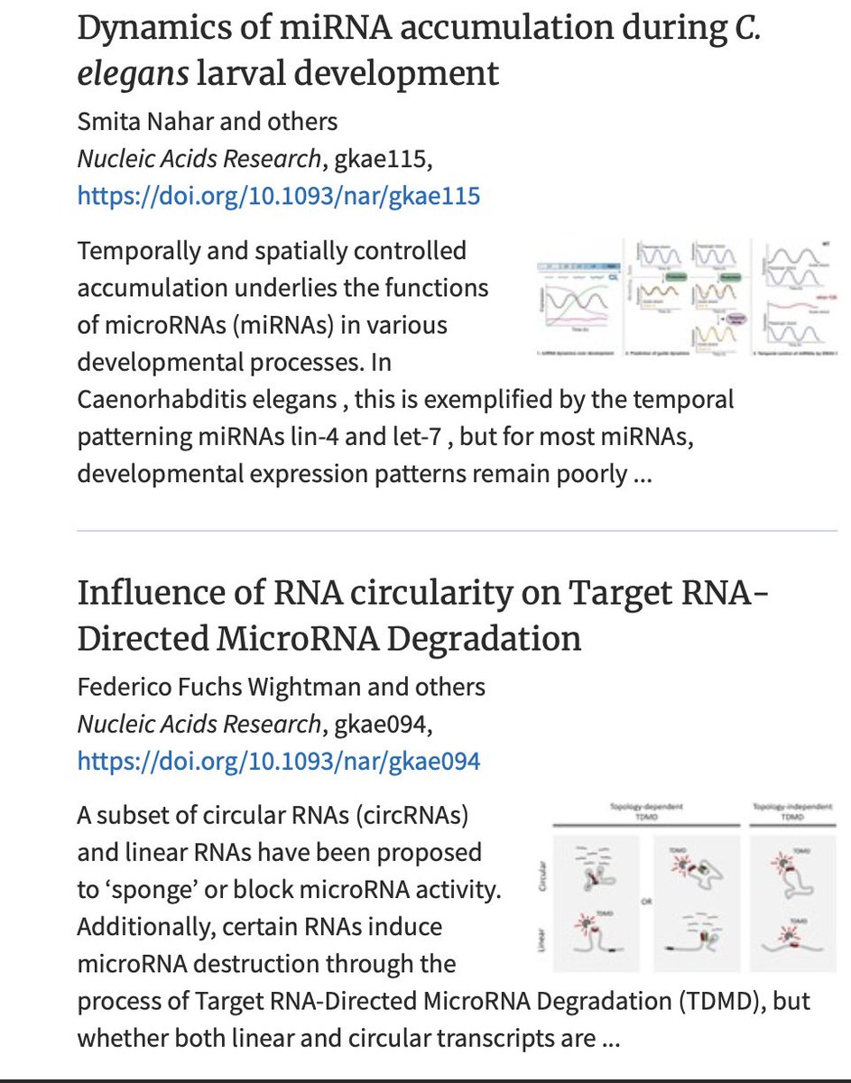 What's better than publishing a paper? Publishing it next to another paper from your former postdoc's lab. Congratulations, @mdlmata & Team! Full stories on how miRNAs get degraded at doi.org/10.1093/nar/gk… & doi.org/10.1093/nar/gk… @NAR_Open @FMIscience