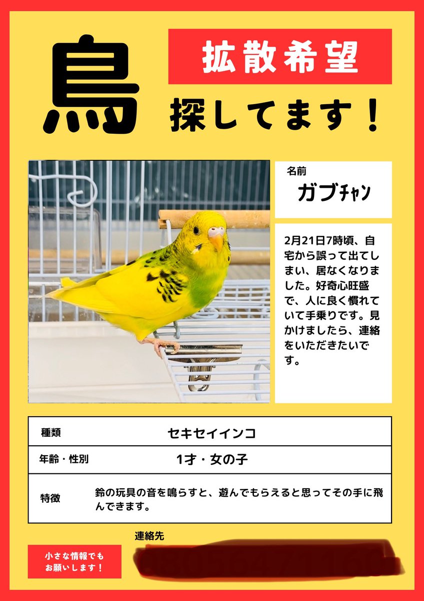 ぱぴこ55@釜玉さん tweet media