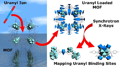 Research Island of Dr. Moreau tweet media