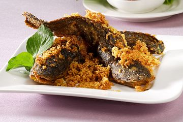 "Nih."

Memberinya Lele goreng hasil nyolong empang Alvian.