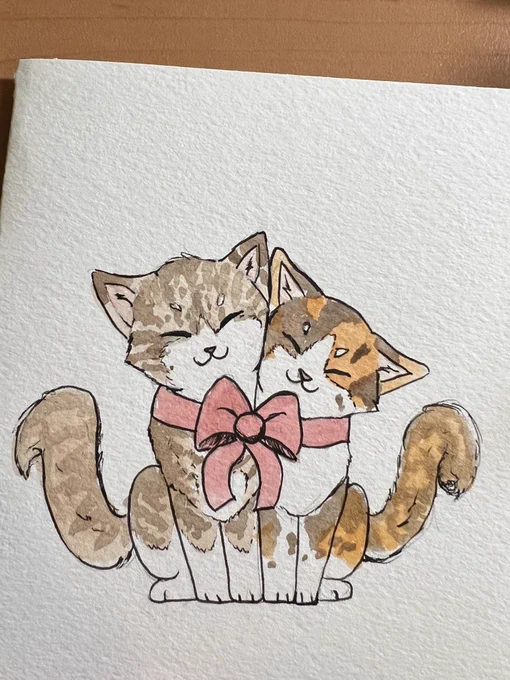 cats! 
