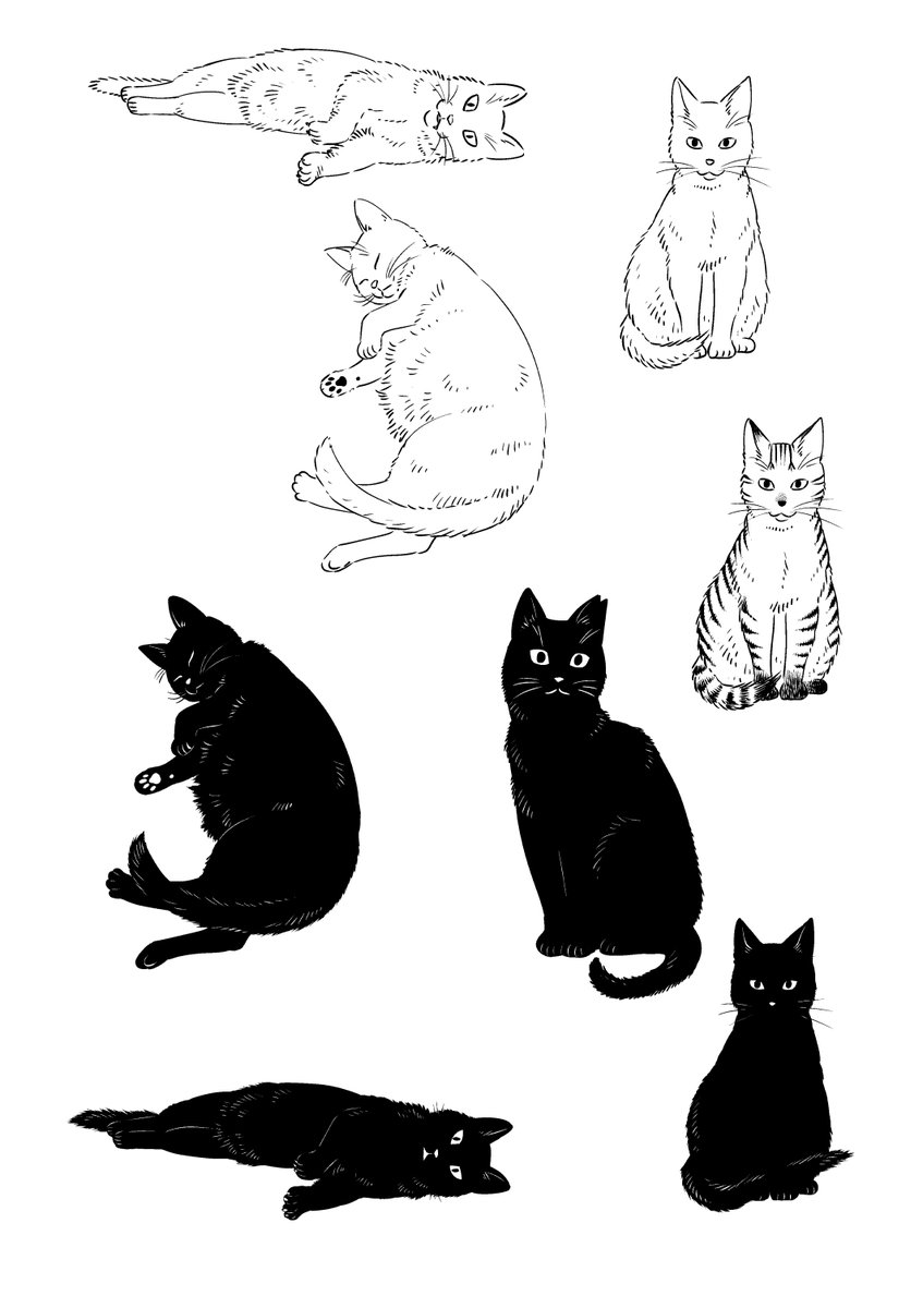 #猫の日 