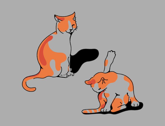 「animal focus calico」 illustration images(Latest)