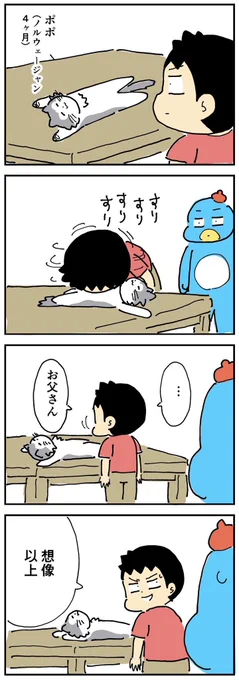 息子、初めての猫吸いの感想

#猫の日 