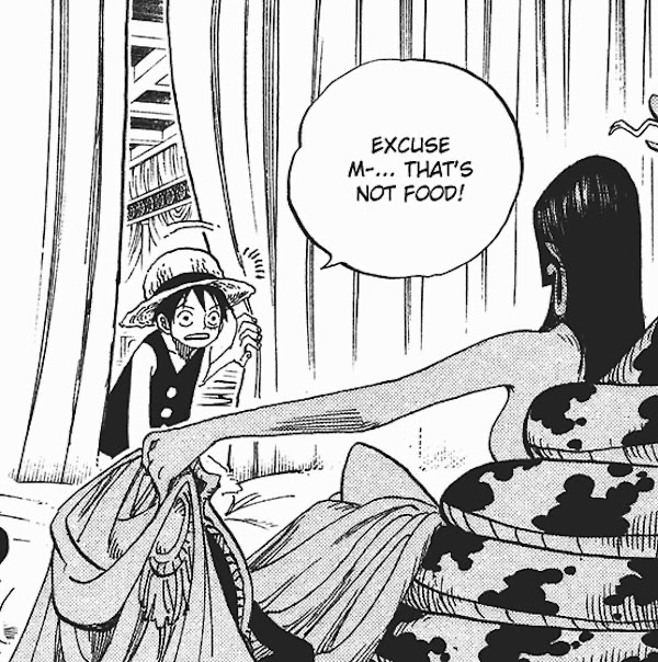 I think it's all but put into words that Luffy is aroace 