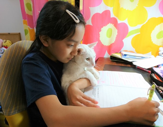 Twitterのコスプレ画像2