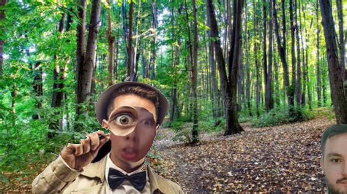 t.me/Whiplash347QSI…