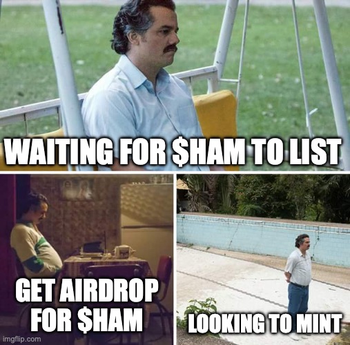 Cuz nobody likes / retweets our $HAM airdrop campaign...🧍

#noahswap #Airdrops