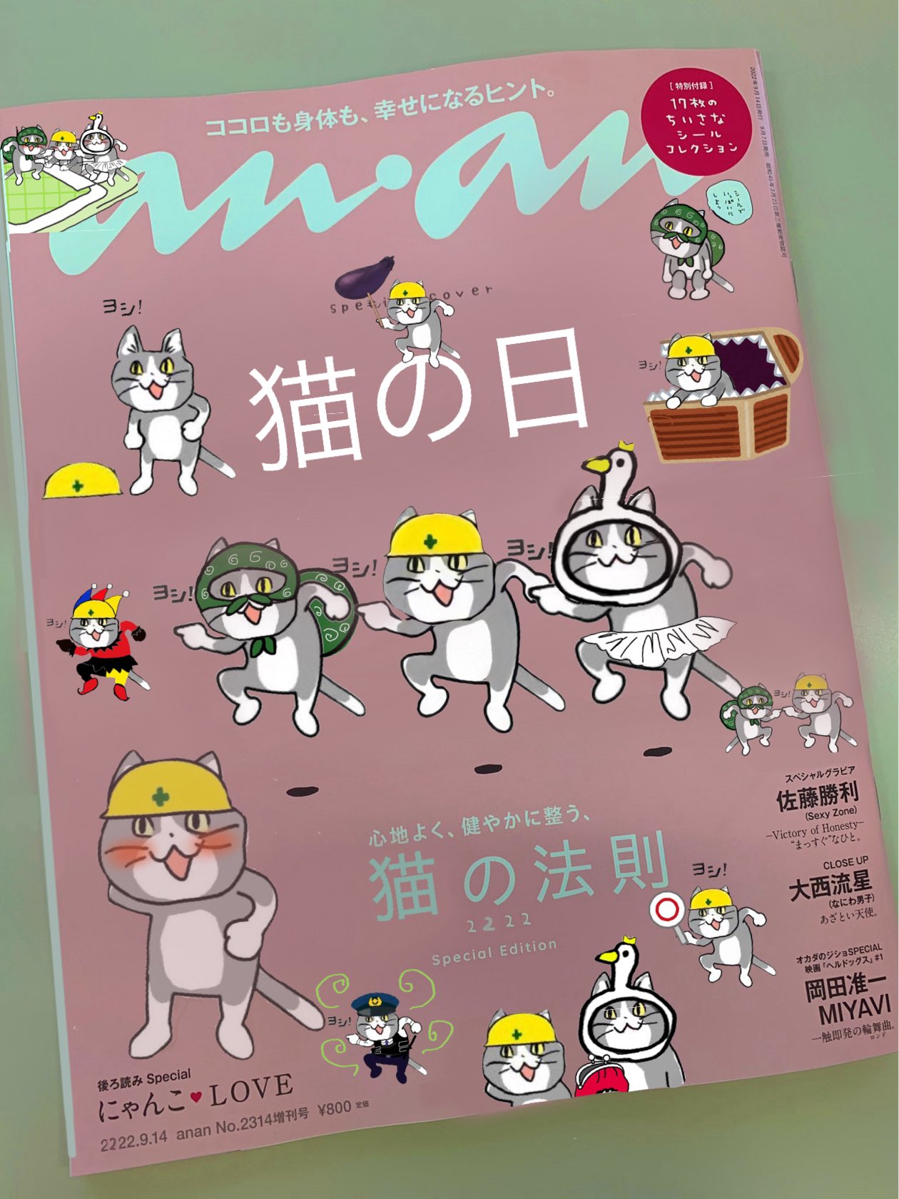 さいまる🐾(°▽°)σ ヨシ! on X: さいまる🐾(°▽°)σ ヨシ! on X: