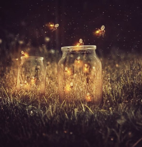 No_FITF's tweet image. She  promoted fireflies like nobody else ever  could. 

{#NandiniMurthy #NitiTaylor 
#MaNanHacked #MaNan }