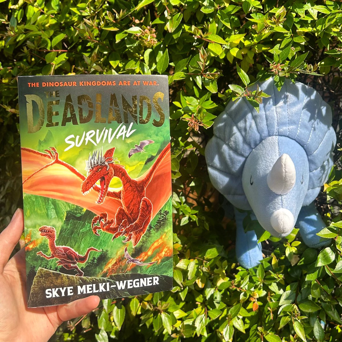 Ooh, look what just arrived in the post! It’s my first author copy of The Deadlands: Survival! 🎉🦖

Such a milestone to hold a physical copy in my hands!

#deadlandsdinosaurs #thedeadlands #dinosaurs #authorlife #books #kidlit