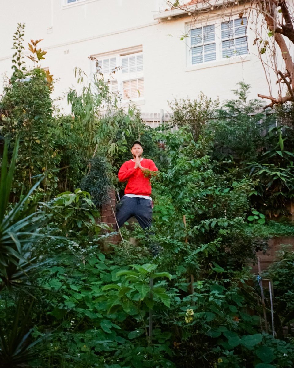 Forest Hall tweet media