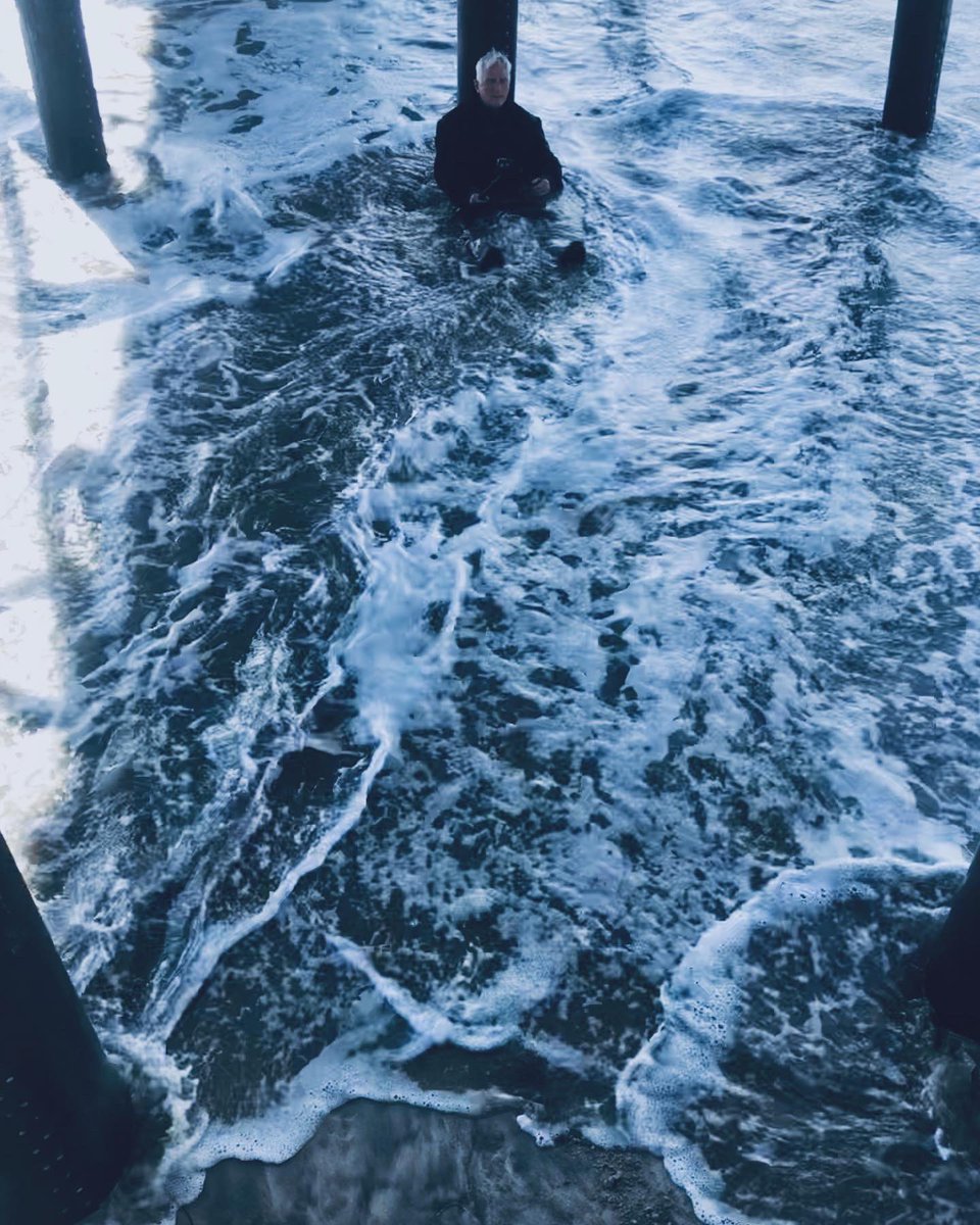 Forest Hall tweet media