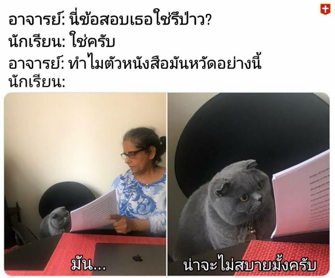 ช่างแม่ง🐰🏳️🌈 tweet media