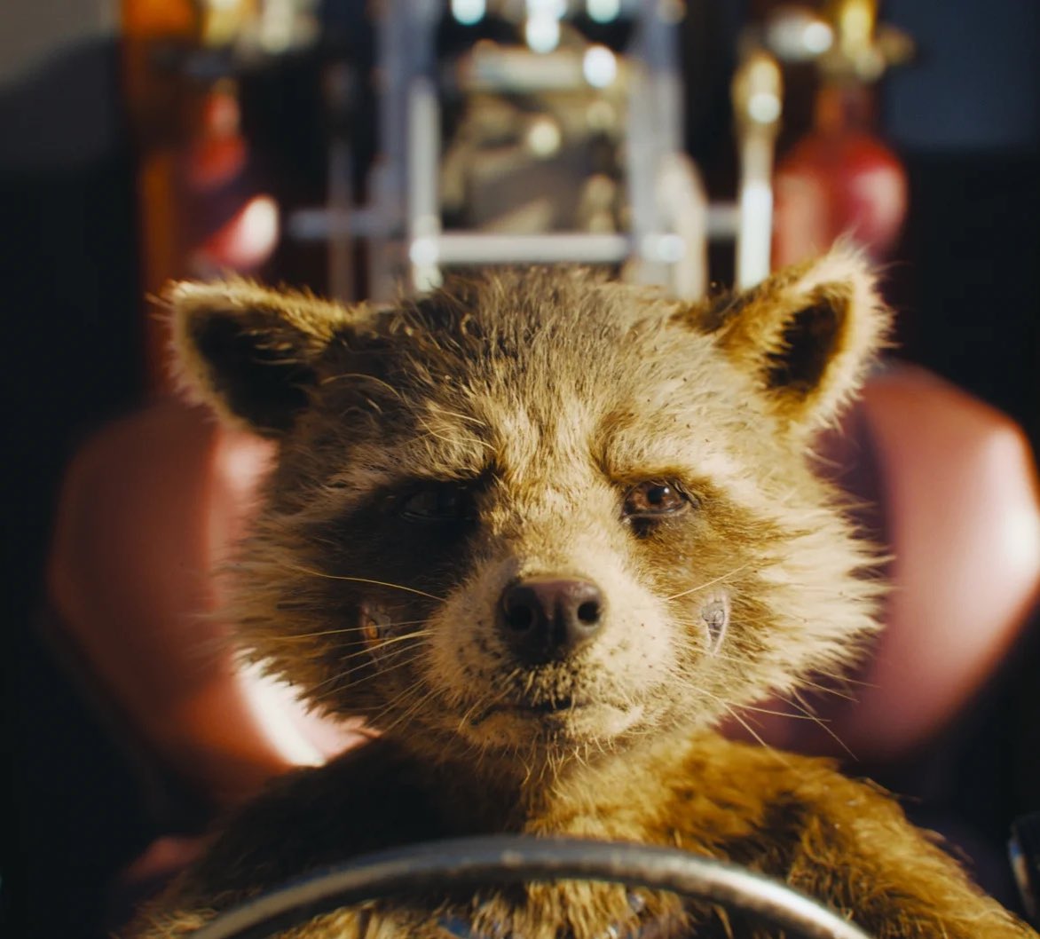 Rocket wins Animated Character in Photoreal Feature! 

Congrats <a href="/Framestore/">Framestore</a> London team, which worked on younger Rocket in <a href="/Guardians/">Guardians of the Galaxy</a> Vol 3.

<a href="/VFXSociety/">VisualEffectsSociety</a> #vesawards