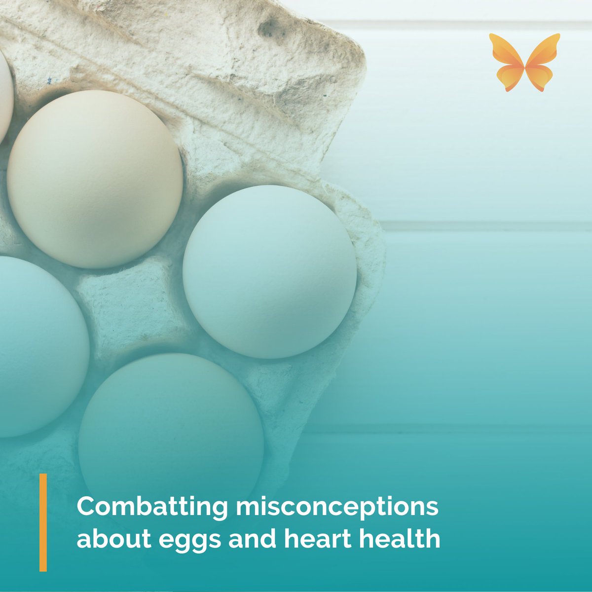 Healthcare Channel (@healthcarechan) on Twitter photo Contrary to past beliefs, the Australian Dietary Guidelines do not restrict egg consumption. Eggs can be part of a heart-healthy diet and are an excellent protein option. They also serve as a nutritious snack.
Full story: tinyurl.com/2ntac2zm <a href="/AustralianEggs/">Australian Eggs</a> <a href="/hearts4heart/">hearts4heart</a> Contrary to past beliefs, the Australian Dietary Guidelines do not restrict egg consumption. Eggs can be part of a heart-healthy diet and are an excellent protein option. They also serve as a nutritious snack.
Full story: tinyurl.com/2ntac2zm <a href="/AustralianEggs/">Australian Eggs</a> <a href="/hearts4heart/">hearts4heart</a>