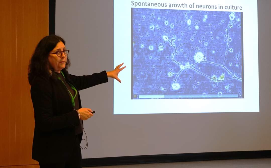 My friends Yossi Mandel and Orit Shefi from Bar-Ilan University, masters of rethina systems and neuron orgsnization, at Neuronics conference <a href="/nanoGe_Conf/">nanoGeConferences</a>  in València <a href="/orit_shefi/">Orit Shefi</a>