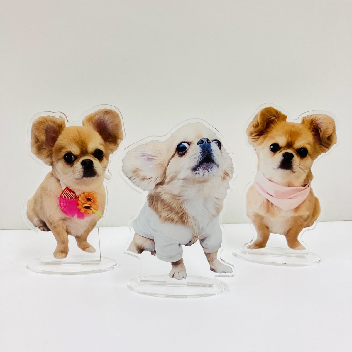 はな〈チワワのハナが家族にいます♪〉様 リクエスト 2点 まとめ商品 