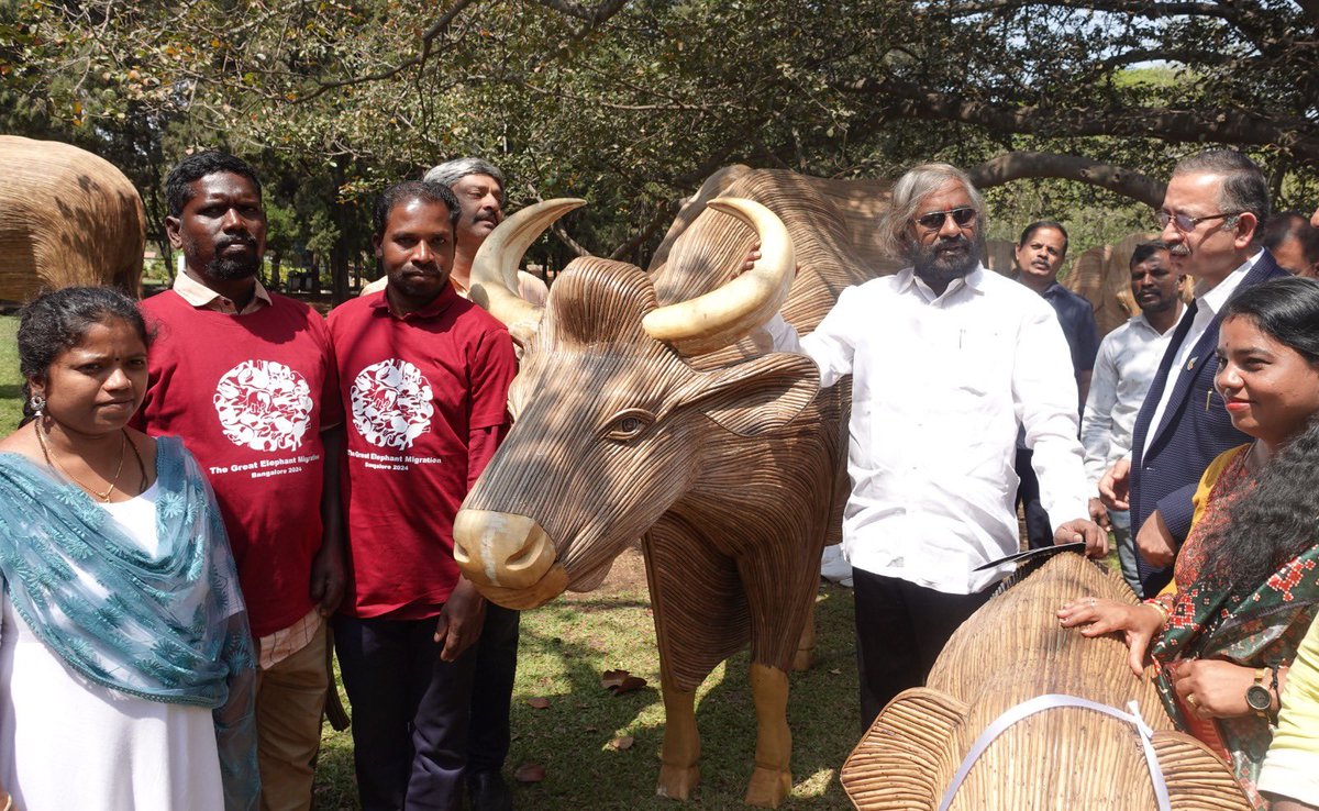 eshwar_khandre's tweet photo. ಬೆಂಗಳೂರಿನ ಲಾಲ್ ಬಾಗ್ ನಲ್ಲಿಂದು ಲಾಂಟನಾ ಕಡ್ಡಿಗಳಿಂದ ತಯಾರಿಸಿದ ಕಾಡೆಮ್ಮೆ ಮತ್ತು ಆನೆಯ ಆಕೃತಿಗಳನ್ನು ಅನಾವರಣ ಮಾಡಿ ಮಾತನಾಡಿ ಅರಣ್ಯದಲ್ಲಿ ಸಸ್ಯಹಾರಿ ಪ್ರಾಣಿಗಳಿಗೆ ಮಾರಕವಾಗಿರುವ ಲಾಂಟನಾ ಕಳೆಯಿಂದ ಆನೆ, ಕಾಡೆಮ್ಮೆ, ಪೀಠೋಪಕರಣ ಮತ್ತು ಅಲಂಕಾರಿಕ ವಸ್ತುಗಳನ್ನು ತಯಾರಿಸುವ ಆದಿವಾಸಿ ಸಮುದಾಯದವರಿಗೆ ತರಬೇತಿ ಮತ್ತು ಪೋತ್ಸಾಹ ನೀಡಲು 1 ಕೋಟಿ ರೂ. ನೆರವು ನೀಡುವ ಬಗ್ಗೆ ಪರಿಶೀಲನೆ ನಡೆಸುವದಾಗಿ ತಿಳಿಸಿದೆನು.
@aranya_kfd