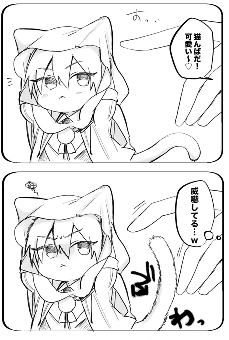 🐱の日
気安く触られるのが嫌な猫んば🐈🐾 