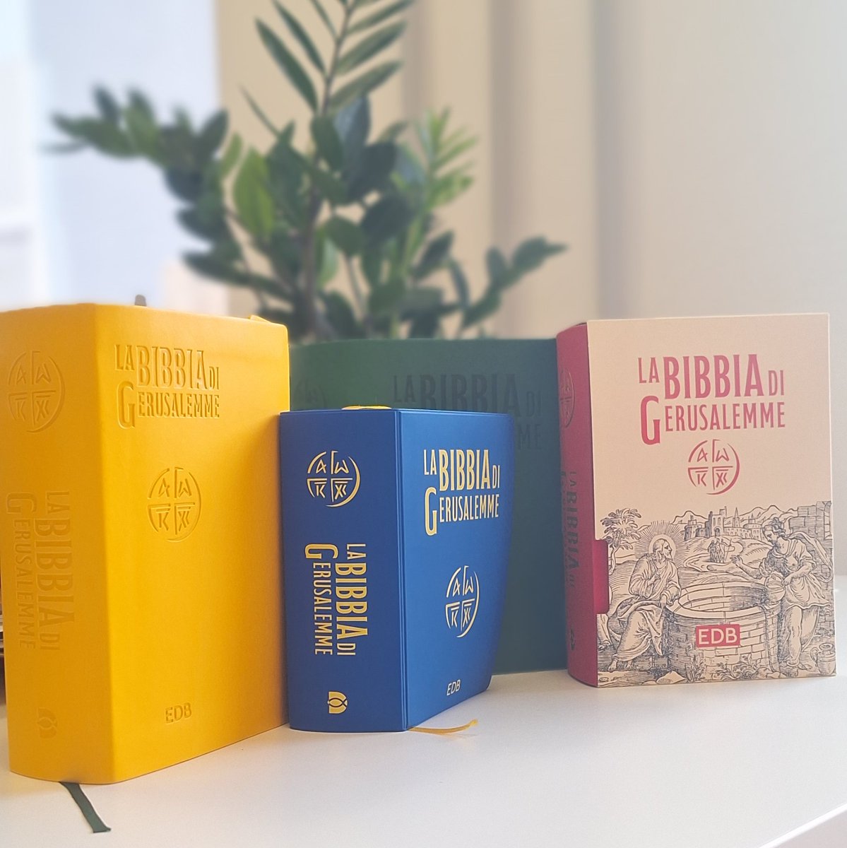 edb_bologna's tweet photo. 📚A 50 anni dalla prima edizione italiana, la #BibbiaDiGerusalemme si rinnova!
In uscita a #Pasqua un'edizione completamente #aggiornata nella veste #grafica con nuovi #formati e nuovi #colori
#EDB https://t.co/Gjbjkup1Xt