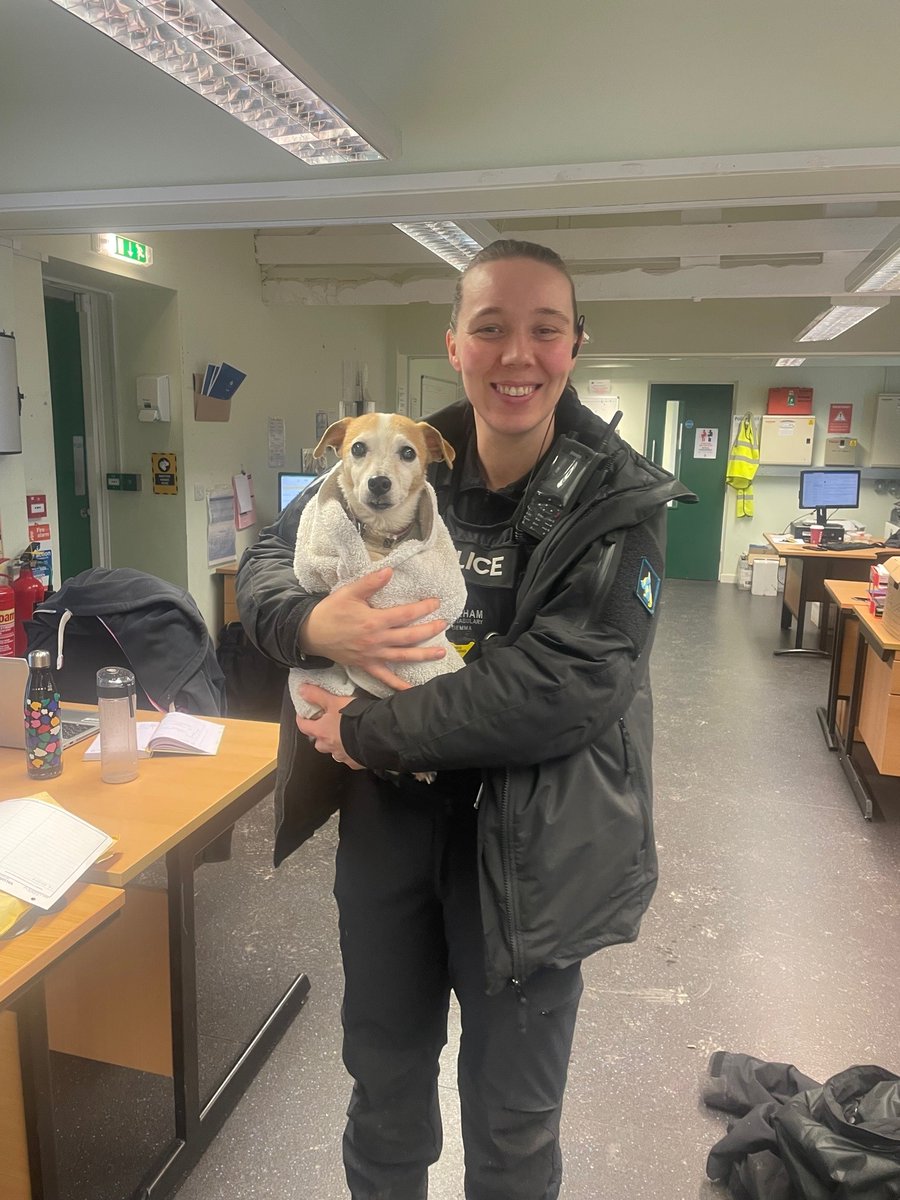 DurhamPolice's tweet photo. 🐾 On duty yesterday, PCs Ryder and Wallace from our dog support unit found an elderly Jack Russell  wandering along the A181.

With quick thinking, the officers safely managed to rescue the dog and reunite her with her worried owners, thanks to her microchip being up to date. 💗 https://t.co/qcNEak8cuh