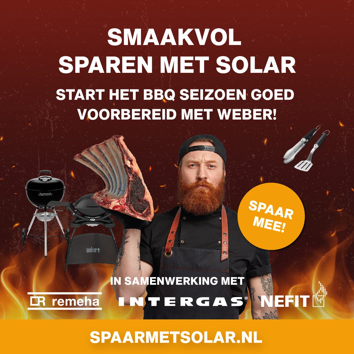 Solar Nederland tweet media