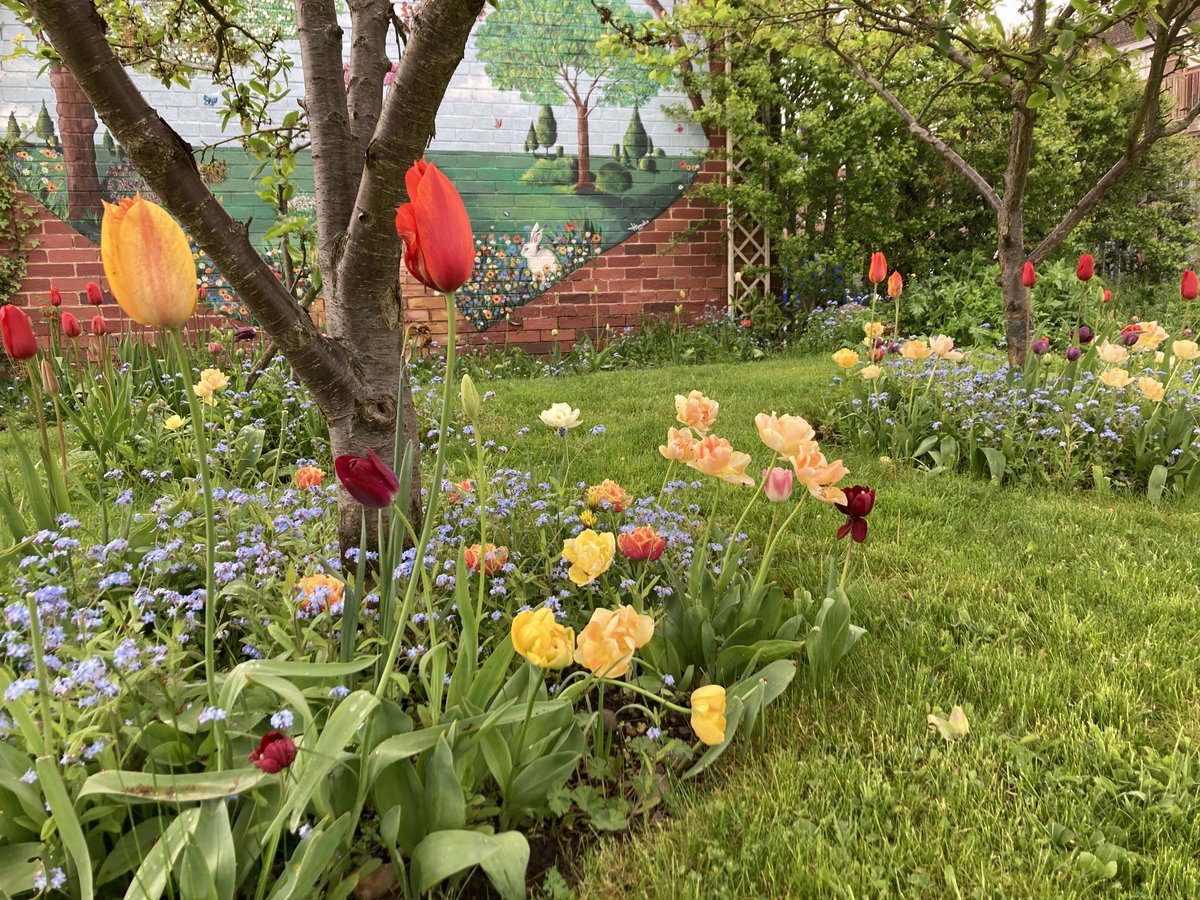 Fran Lee AGinbloom tweet media