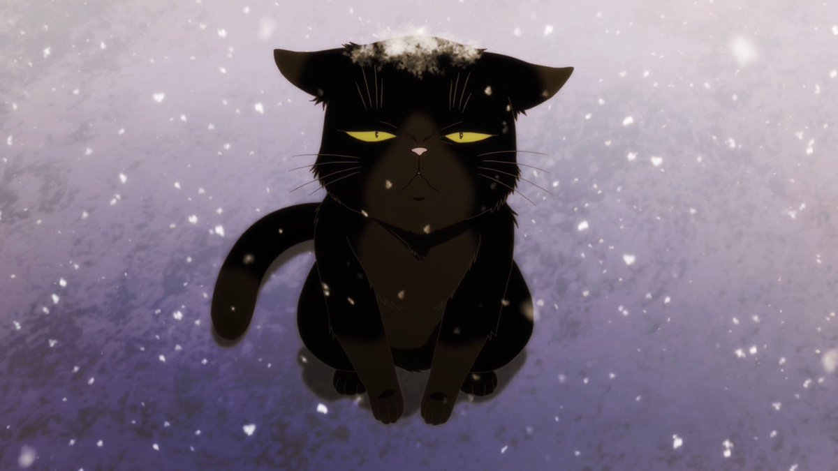 dekineko_anime's tweet photo. 2/22 今日は猫の日🐈‍⬛

#デキ猫 https://t.co/s7iTVd9aD6