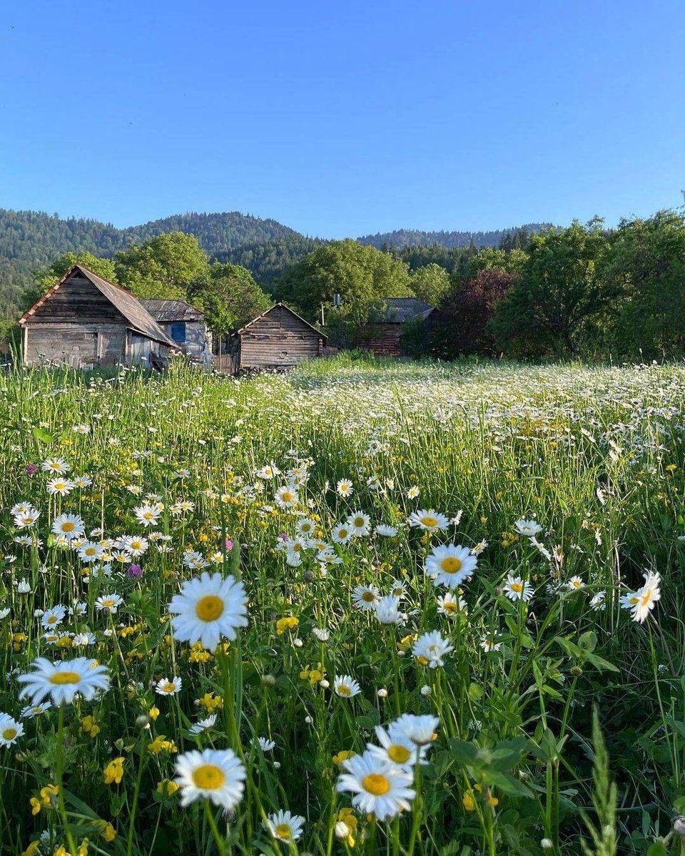 𝕵𝖆𝖓𝖊 tweet media