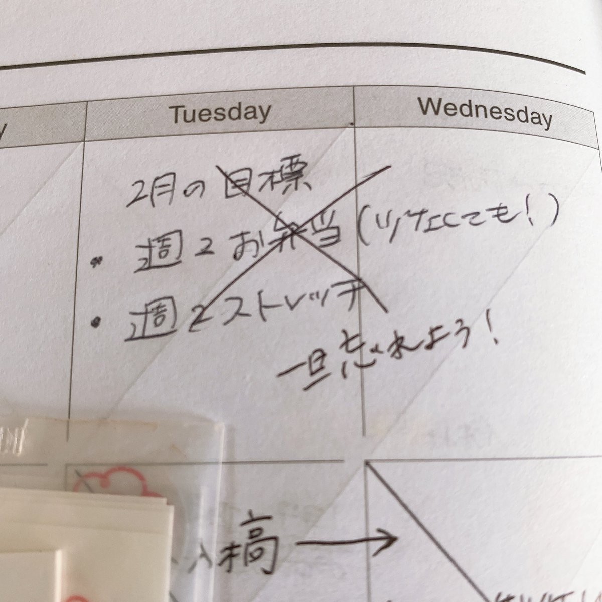 【潔い】2月の目標決めた!⇨「一旦忘れよう!」まるで"即落ち2コマ"な日記帳に8万いいね   「2月の忙しさを完全にナメてました」とのこと。生きるには適度に自分を許すことも必要です