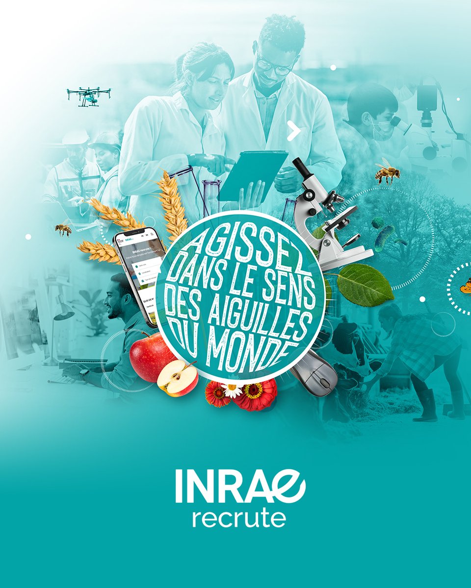 📢 INRAE recrute + de 260 ingénieurs, cadres, techniciens et gestionnaires (F/H) dans divers domaines. Profil scientifique, technique ou administratif, nos offres sont ouvertes à tous les diplômes, du CAP à Bac+5 partout en France. Ne ratez pas cette chance !