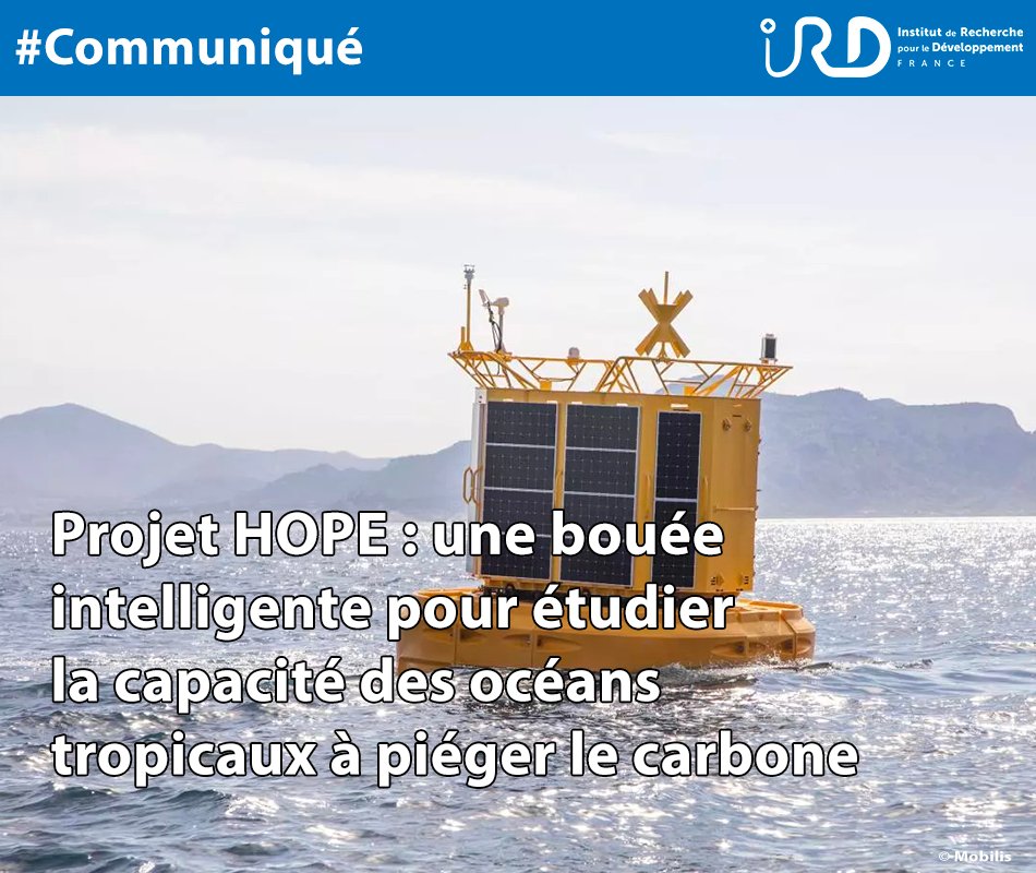 ird_fr's tweet photo. #Communiqué |👉 Le projet HOPE, financé par la bourse #ERC 🇪🇺, est porté par Sophie Bonnet, dir. de recherche #IRD
🔵Le 2/03 une bouée intelligente sera déployée dans le #Pacifique Sud. Ce dispositif pourrait révolutionner l’#océanographie.
🔗https://t.co/BQoOSDOaPV #HOPEproject https://t.co/2QBY6rvyiT