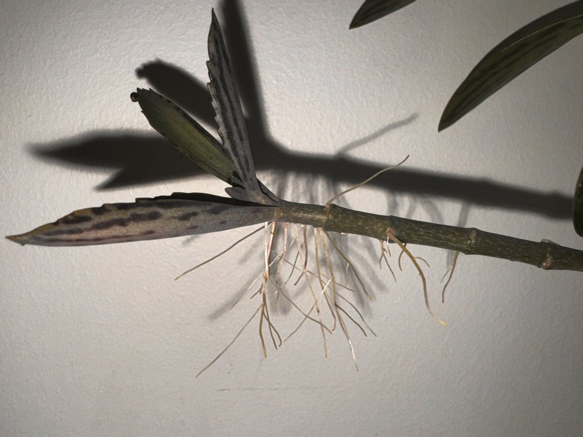 Amit Kumar tweet media