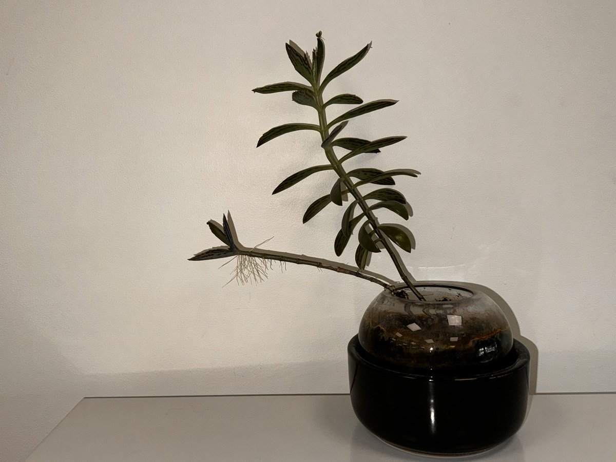 Amit Kumar tweet media