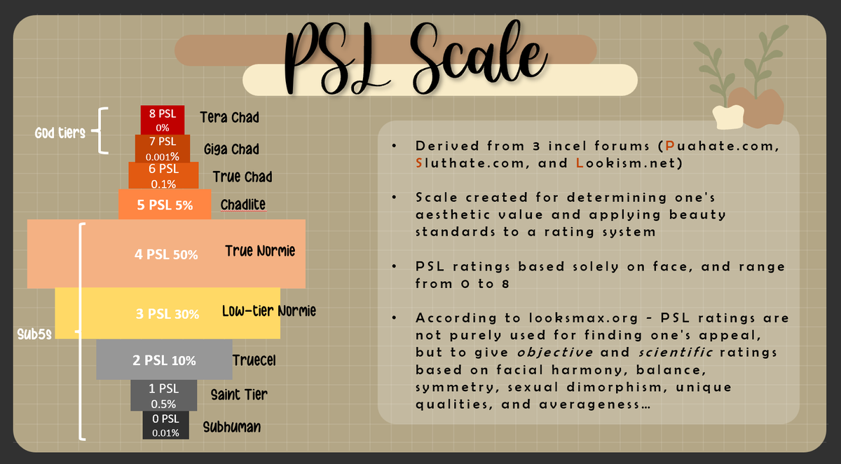 I will discuss the PSL scale – a face rating system based on biological ...