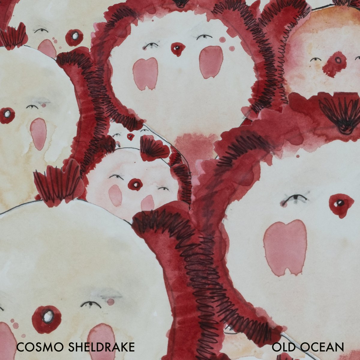 cosmosheldrake tweet picture