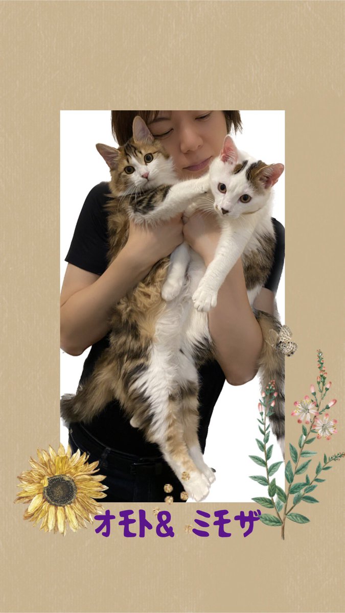 2月22日 #猫の日 オモト&ミモザ 2匹は兄弟。 真夏の炎天下の中