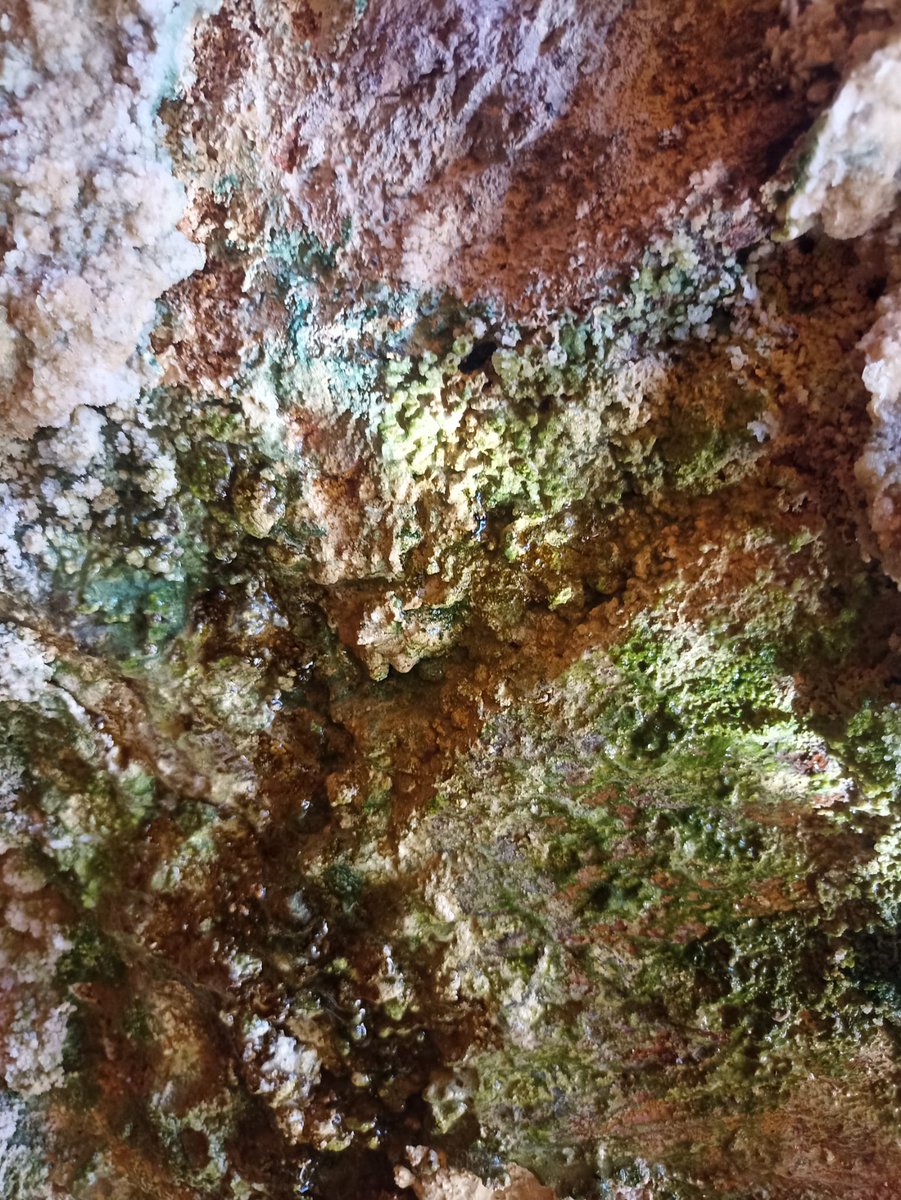 MarcyanProject's tweet photo. Searching for #cyanobacteria in the amazing Rio Tinto (Spain).

@C_Astrobiologia 
@intaespana 
@EU_Commission https://t.co/cpvlMwRGcI