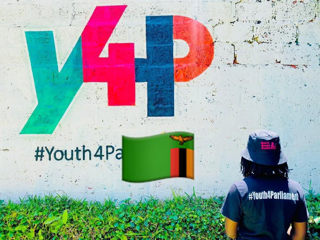 We are #Youth4Parliament