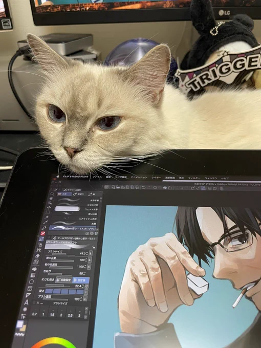 猫の日なんでうちのカワイイ作業の邪魔する猫でもみてってくれ#猫の日 #猫の日2024 