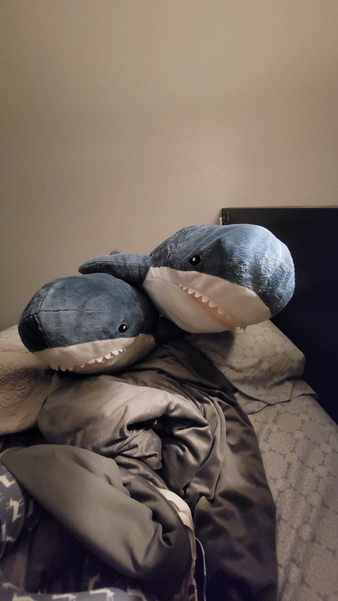 melmelmel030's tweet photo. @TracksDifferent They look so sad when I unstuck them lol https://t.co/r6bphMD1W9