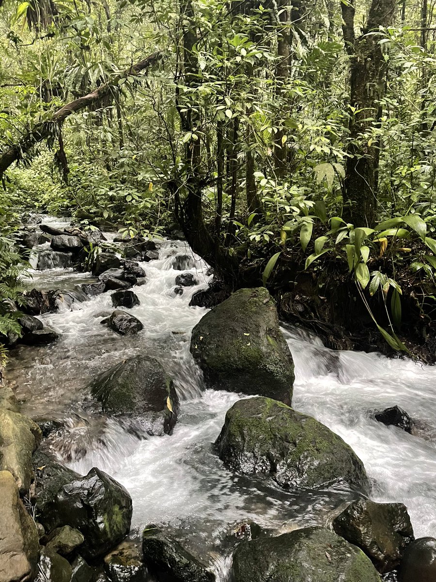 InaKinoy's tweet photo. Abis Pilpres dan Pileg ku  mumet 🤯, lalu kuminta diajak trekking ke #Curug Cibeureum...mendung dan rintik hujan tak menyurutkan niat 😁 https://t.co/86yuo9gx0e