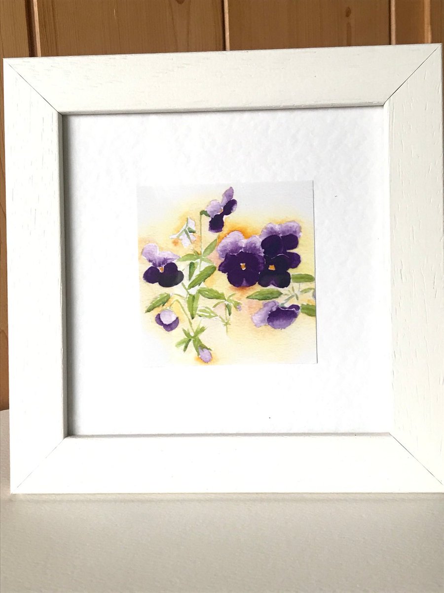 V is for Violas for today’s #MHHSBD Alphabet Challenge cardsbymormorjan.etsy.com/listing/956010… An original watercolour framed print would make a sweet gift for Mum #MothersDay #EarlyBiz #SBS #SMILEtt23 #CraftBizParty I have cards too! FREEUKP&P
