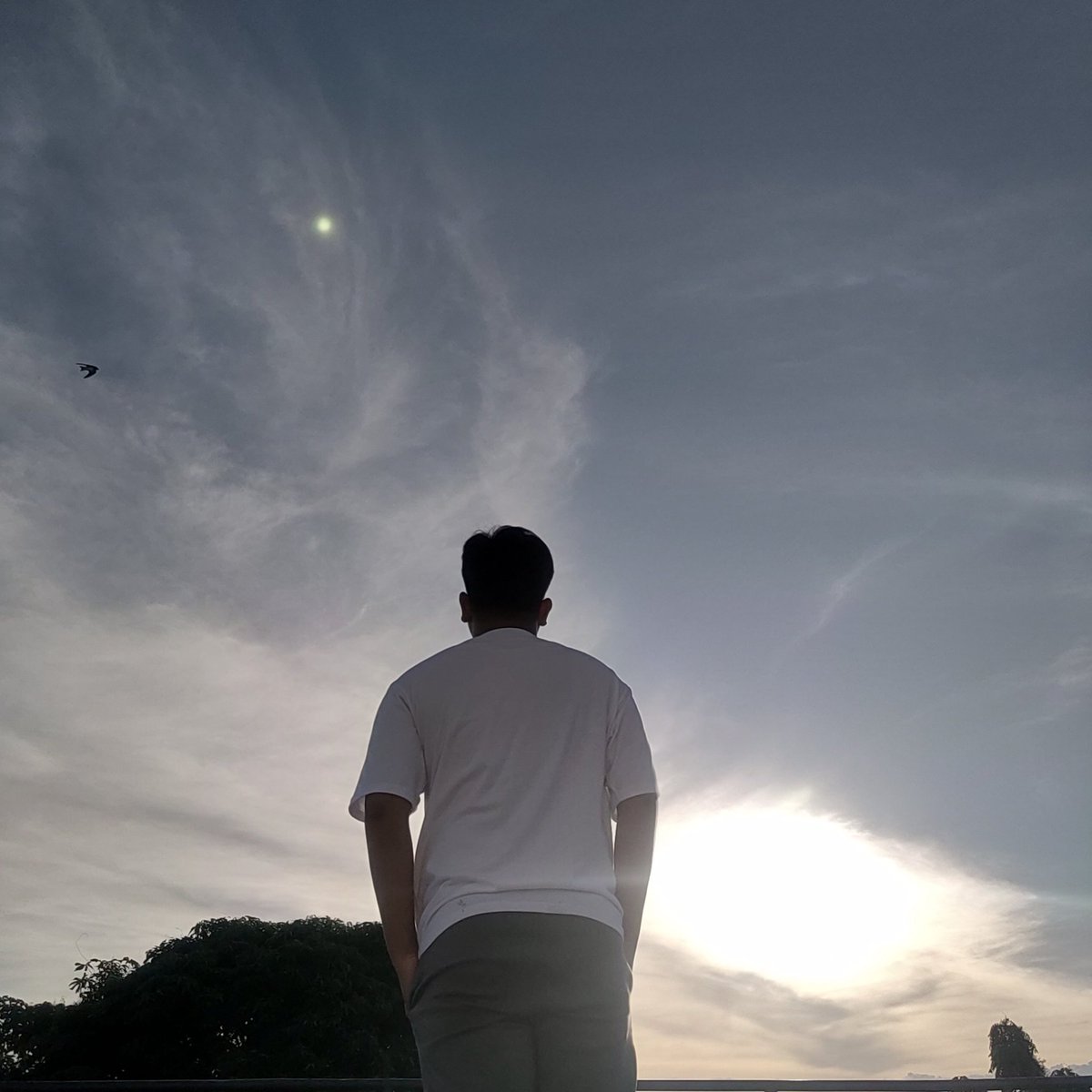 GerlonF's tweet photo. #NewProfilePic https://t.co/ZaXMsGLw4P